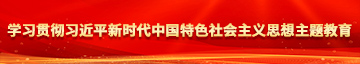 抠逼出水学习贯彻习近平新时代中国特色社会主义思想主题教育